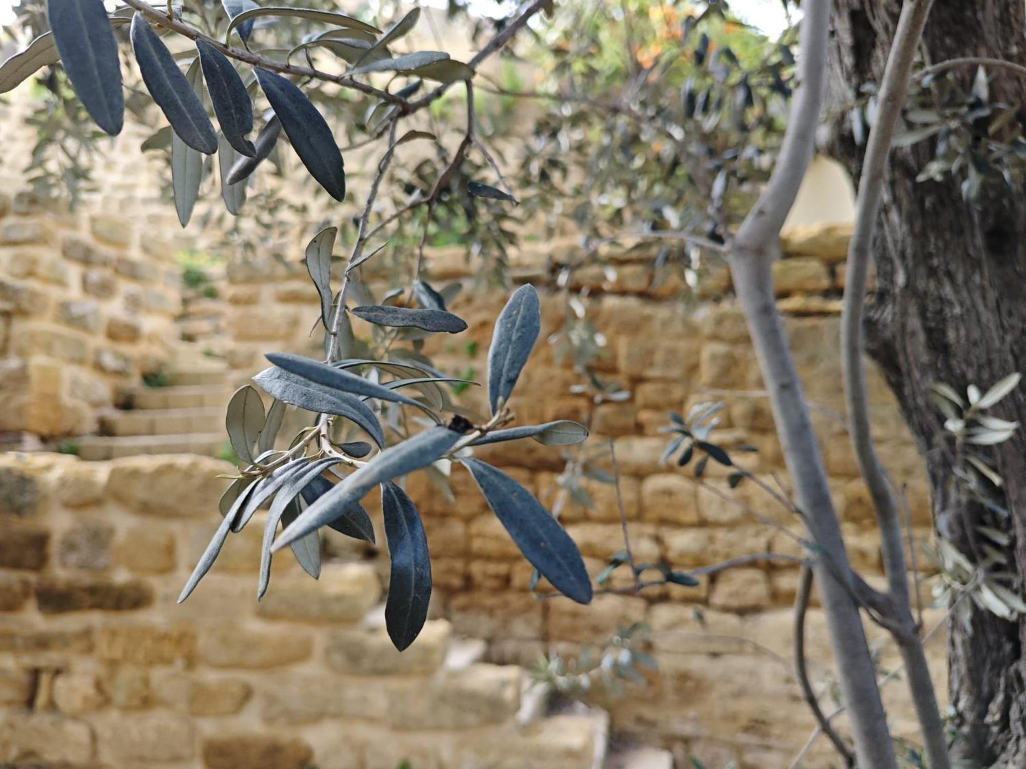 Villa Amoroso - Ospitalita Mediterranea Agrigento Exterior photo